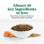 Nutro Limited Ingredient Diet Grain-Free Adult Salmon & Lentils Recipe Dry Dog Food, photo 5
