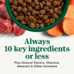 Nutro Limited Ingredient Diet Grain-Free Large Breed Adult Lamb & Sweet Potato Recipe Dry Dog Food, photo 3