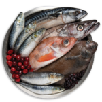 Orijen Six Fish Dry Dog Food, photo 2