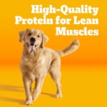 Pedigree High Protein Beef and Lamb Flavor Dry Dog Food, photo 2