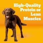 Pedigree Tender Bites Chicken & Steak Flavor Dry Dog Food, photo 2