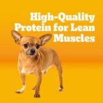Pedigree Small Dog Roasted Chicken, Rice & Vegetable Flavor Dry Dog Food, photo 2