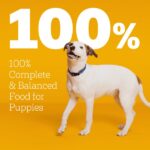 Pedigree Puppy Chicken & Vegetable Flavor Dry Dog Food, photo 6