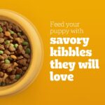 Pedigree Puppy Chicken & Vegetable Flavor Dry Dog Food, photo 3