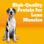 Pedigree Big Dogs Roasted Chicken, Rice & Vegetable Dry Dog Food, photo 2