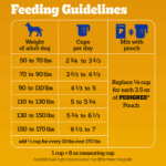 Pedigree Big Dogs Roasted Chicken, Rice & Vegetable Dry Dog Food, photo 6
