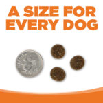NutriSource Choice Turkey Meal & Barley Recipe Dry Dog Food, photo 6