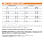 NutriSource Choice Turkey Meal & Barley Recipe Dry Dog Food, photo 7