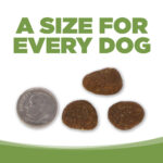 NutriSource Element Series Coastal Plains Recipe Dry Dog Food, photo 6