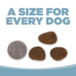 NutriSource Element Series Open Waters Recipe Dry Dog Food, photo 7