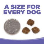 NutriSource Small & Medium Breed Puppy Dry Dog Food, photo 6