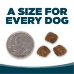 NutriSource Small Bites Adult Chicken & Rice Recipe Dry Dog Food, photo 7