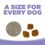 NutriSource Grain-Free Small and Medium Breed Puppy Dry Dog Food, photo 7
