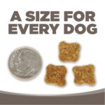 NutriSource Senior Chicken & Rice Recipe Dry Dog Food, photo 7