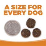NutriSource Lamb Meal & Rice Recipe Dry Dog Food, photo 9
