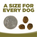 NutriSource Grain-Free Small Bites Chicken & Pea Recipe Dry Dog Food, photo 7