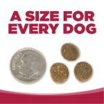 NutriSource Grain-Free Seafood Select Recipe Dry Dog Food, photo 7