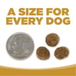 NutriSource Grain-Free Small Bites High Plains Select Recipe Dry Dog Food, photo 7
