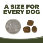 NutriSource Grain-Free Small Bites Woodlands Select Recipe Dry Dog Food, photo 6