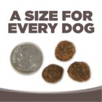 NutriSource Grain-Free High Plains Select Recipe Dry Dog Food, photo 2
