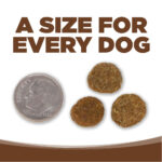 NutriSource PureVita Chicken & Brown Rice Entree Dry Dog Food, photo 7