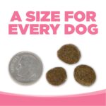 NutriSource PureVita Grain-Free Salmon & Peas Entree Dry Dog Food, photo 7