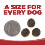 NutriSource PureVita Grain-Free Beef & Red Lentils Entree Dry Dog Food, photo 7
