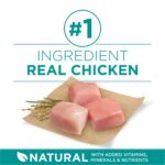 Purina One SmartBlend Digestive Health Formula with Real Chicken Dry Dog Food, photo 5