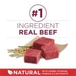 Purina One SmartBlend Small Bites Beef & Rice Formula Adult Premium Dry Dog Food, photo 3