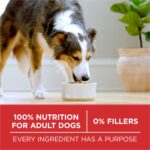 Purina One SmartBlend Small Bites Beef & Rice Formula Adult Premium Dry Dog Food, photo 4