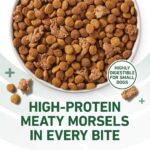 Purina One SmartBlend Small Breed Lamb & Rice Formula Adult Dry Dog Food, photo 5