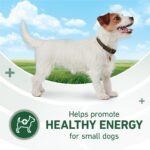 Purina One SmartBlend Small Breed Lamb & Rice Formula Adult Dry Dog Food, photo 3