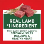Purina One SmartBlend Small Breed Lamb & Rice Formula Adult Dry Dog Food, photo 4