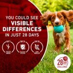 Purina ONE True Instinct Tender Cuts Beef & Salmon Wet Dog Food, photo 3