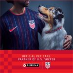 Purina ONE Chicken & Brown Rice Wet Dog Food, photo 3