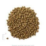 Solid Gold Mighty Mini Toy & Small Breed Beef, Sweet Potato & Apple Recipe Dry Dog Food, photo 2