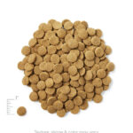Solid Gold Hund-N-Flocken Everyday Nutrition Lamb, Brown Rice & Pearled Barley Recipe Dry Dog Food, photo 4
