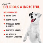 Stella & Chewy’s Cage-Free Chicken Raw Coated Kibble Dry Dog Food, photo 8