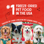 Stella & Chewy’s Cage-Free Chicken Raw Coated Kibble Dry Dog Food, photo 5