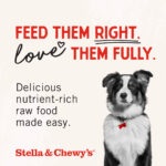 Stella & Chewy’s Cage-Free Chicken Raw Coated Kibble Dry Dog Food, photo 9