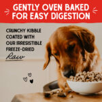 Stella & Chewy’s Cage-Free Chicken Raw Coated Kibble Dry Dog Food, photo 7