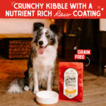 Stella & Chewy’s Cage-Free Chicken Raw Coated Kibble Dry Dog Food, photo 4