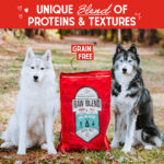 Stella & Chewy’s Cage-Free Raw Blend Kibble Dry Dog Food, photo 3