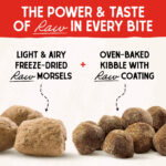 Stella & Chewy’s Red Meat Recipe with Pumpkin & Quinoa Raw Blend Baked Kibble with Grains Dry Dog Food, photo 7