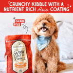 Stella & Chewy’s Grass-Fed Beef Raw Coated Kibble Dry Dog Food, photo 4