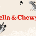 Stella & Chewy’s Grass-Fed Lamb & Ancient Grains Recipe Dry Dog Food, photo 2