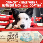 Stella & Chewy’s Grass-Fed Lamb Raw Coated Kibble Dry Dog Food, photo 4
