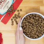 Stella & Chewy’s Salmon Recipe with Pumpkin & Quinoa Raw Coated Kibble Wholesome Grains Dry Dog Food, photo 2