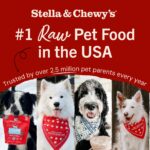 Stella & Chewy’s Marie’s Magical Dinner Dust Cage-Free Chicken Recipe Freeze-Dried Raw Dog Food Topper, photo 10