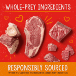 Stella Chewy’s Stella’s Solutions Digestive Boost Grass-Fed Beef Dinner Morsels Freeze-Dried Raw Dog Food, photo 4